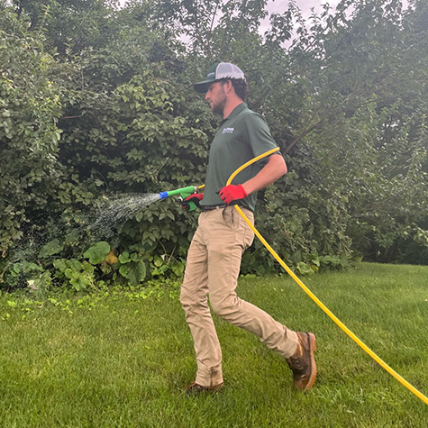 Technician spraying lawn with fertilizer