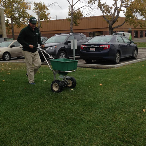 Employee pushing fertilizer spreader for lawn care