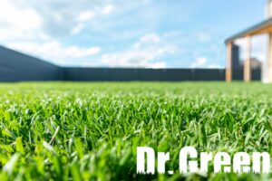 Expert weed control results in a weed-free lawn under a clear blue sky