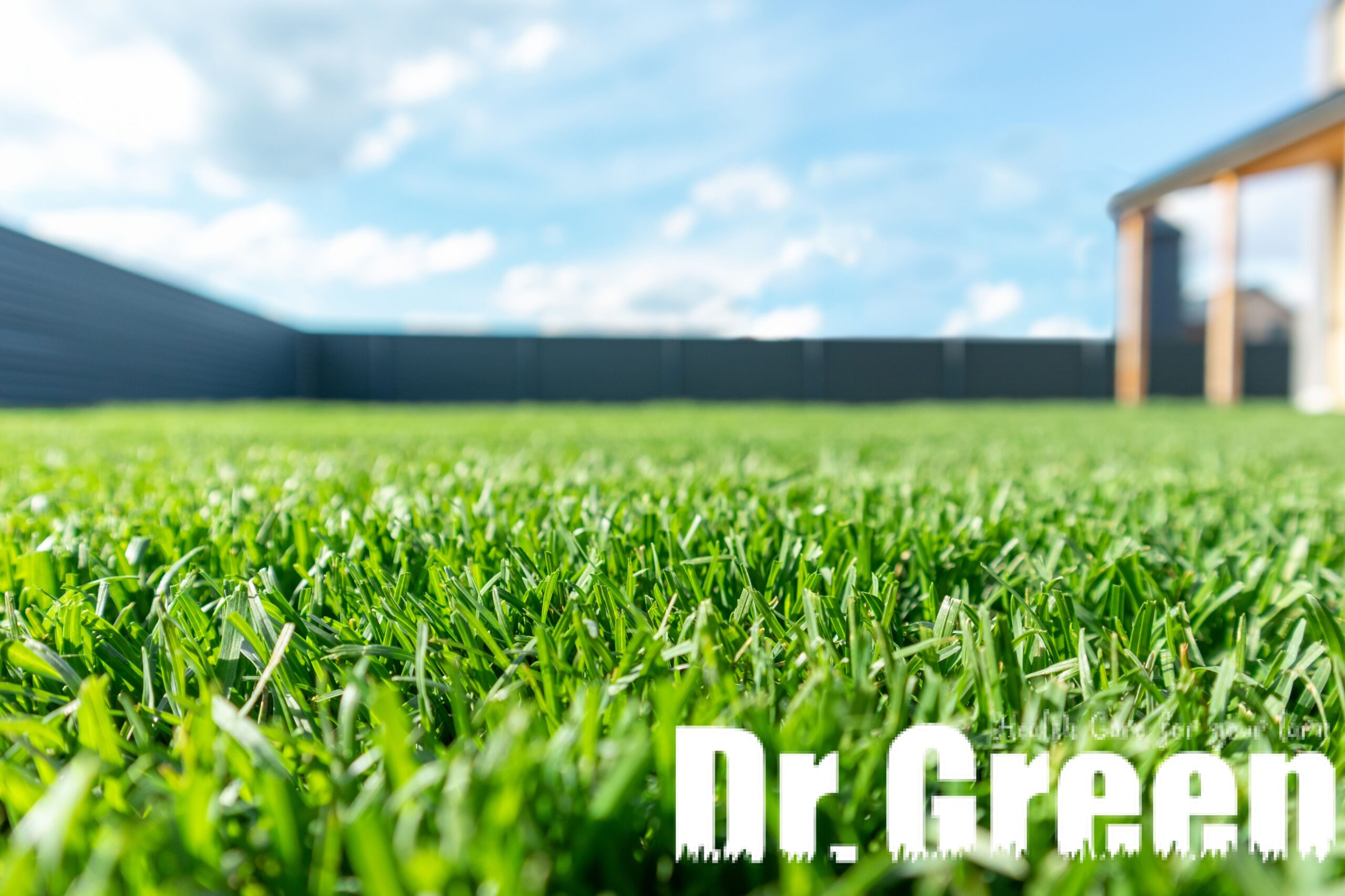 Expert weed control results in a weed-free lawn under a clear blue sky