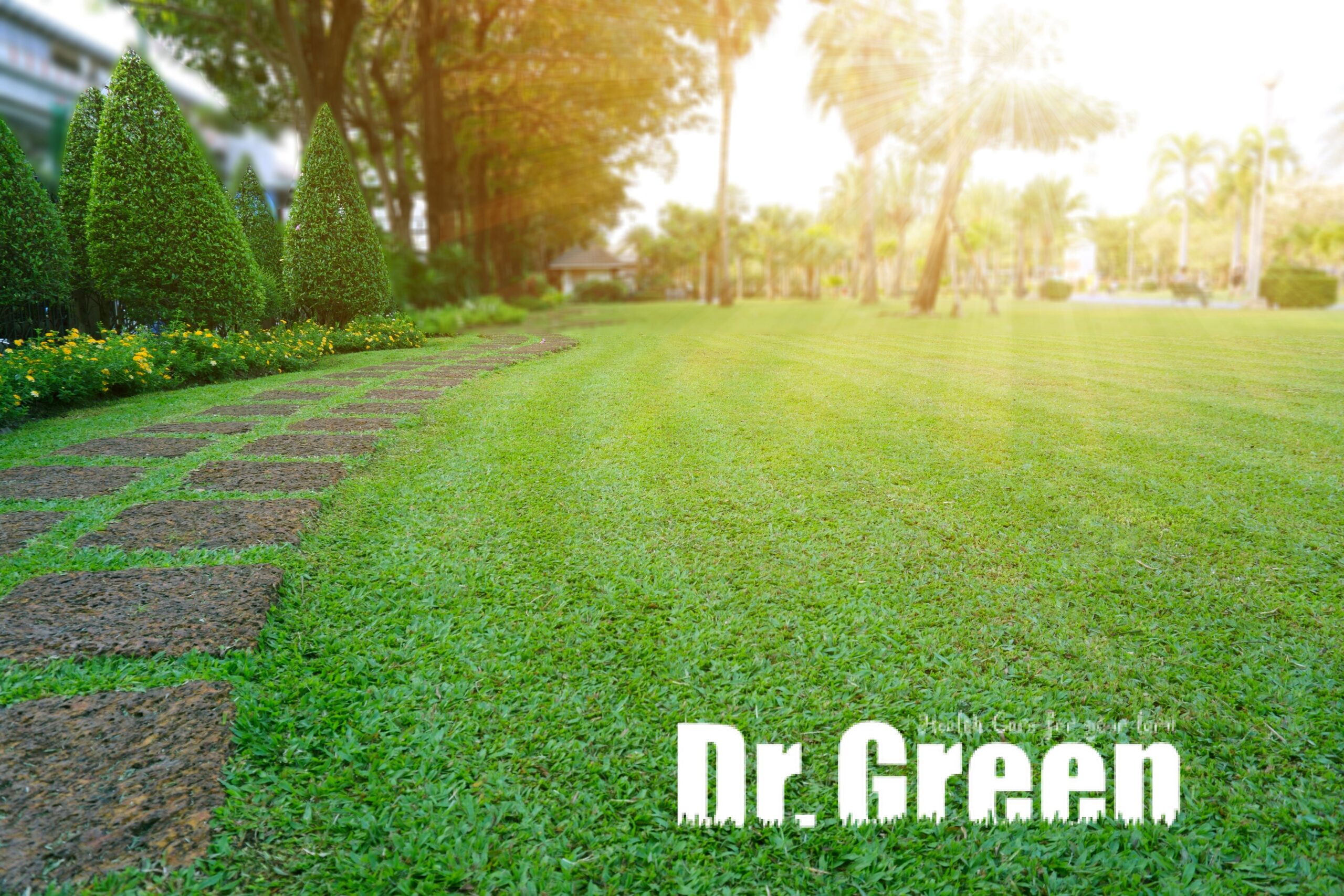 Perfect lawn with a walkway, free from lawn fungus