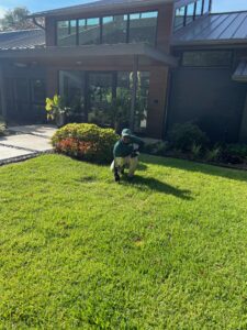 Technician standing proudly in a weed-free lawn, demonstrating successful lawn treatment.