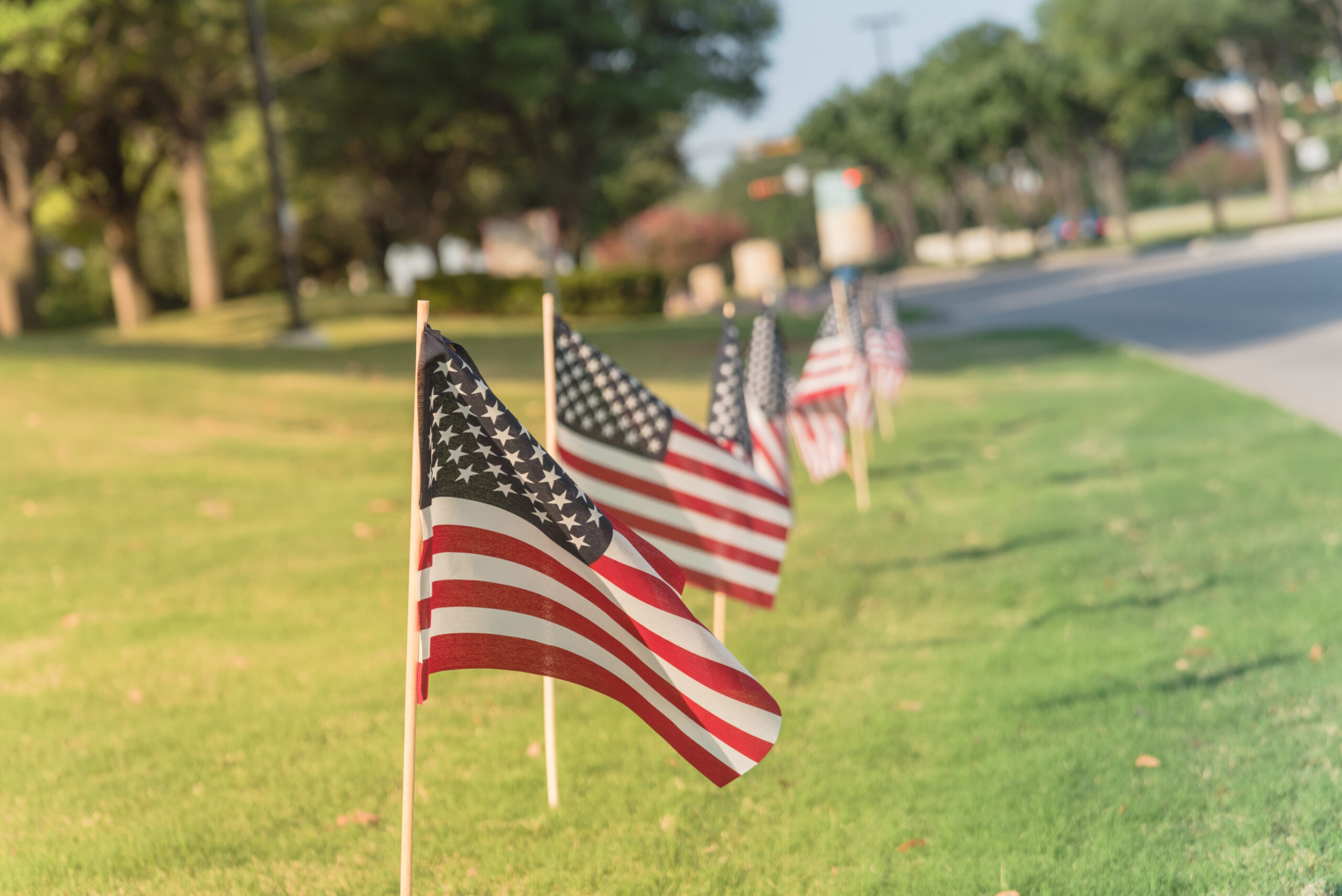 American flags lined up on a vibrant green and weed-free lawn in Prosper, Texas.