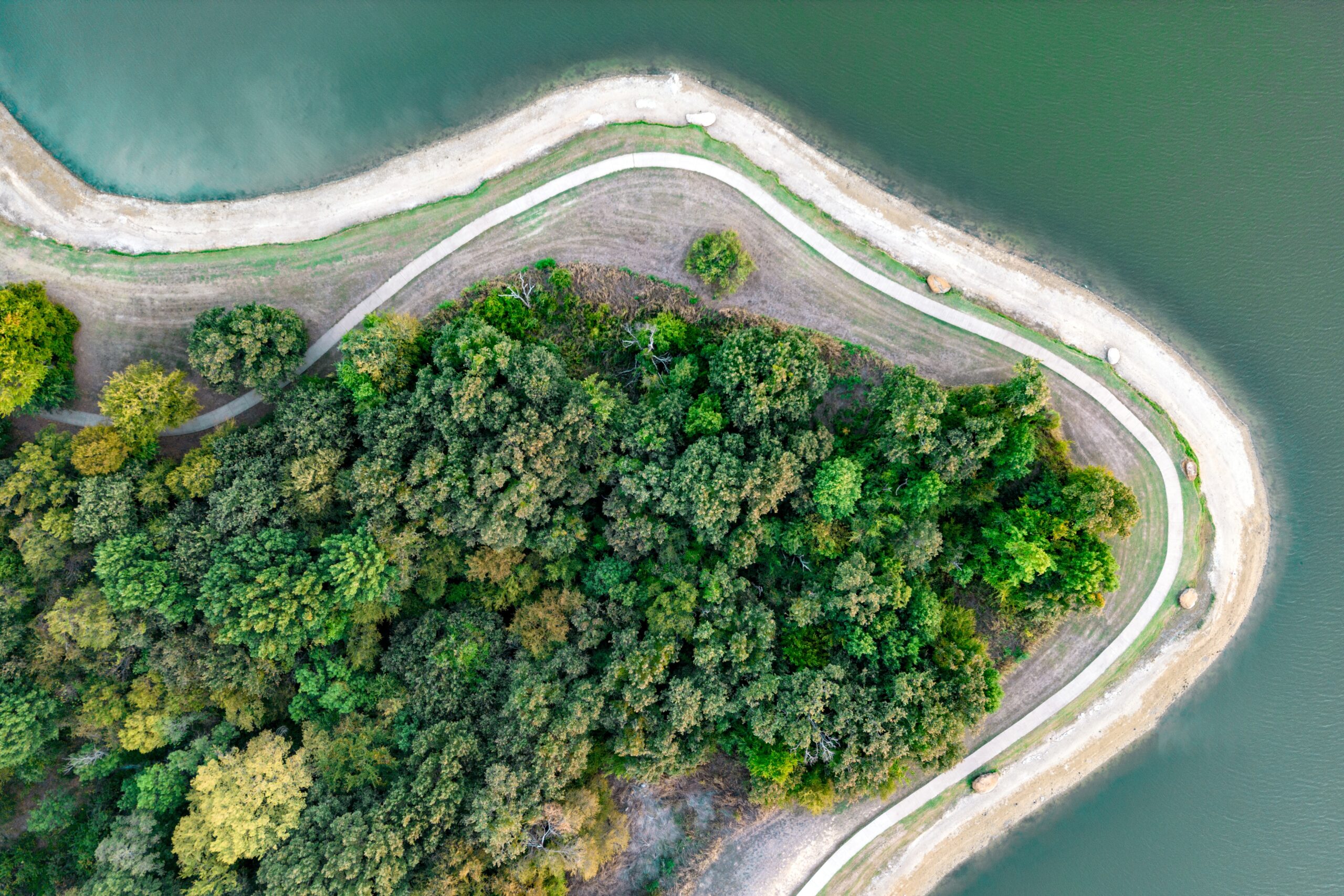 Group of trees by Lewisville Lake, showcasing a green and well-maintained landscape.