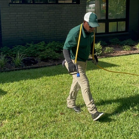 Certified technician meticulously scouting and treating a lawn for turf-damaging insects.