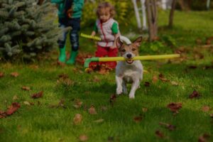 Family and their dog cleaning up leaves on a green and weed-free lawn before applying fall fertilizer, representing the best lawn care.