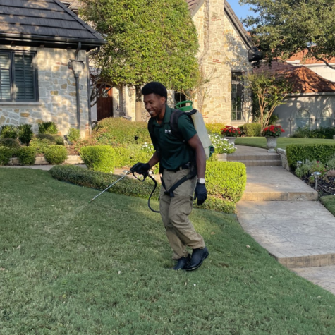 Certified technician applying treatment on a lush green and weed-free lawn in Plano.