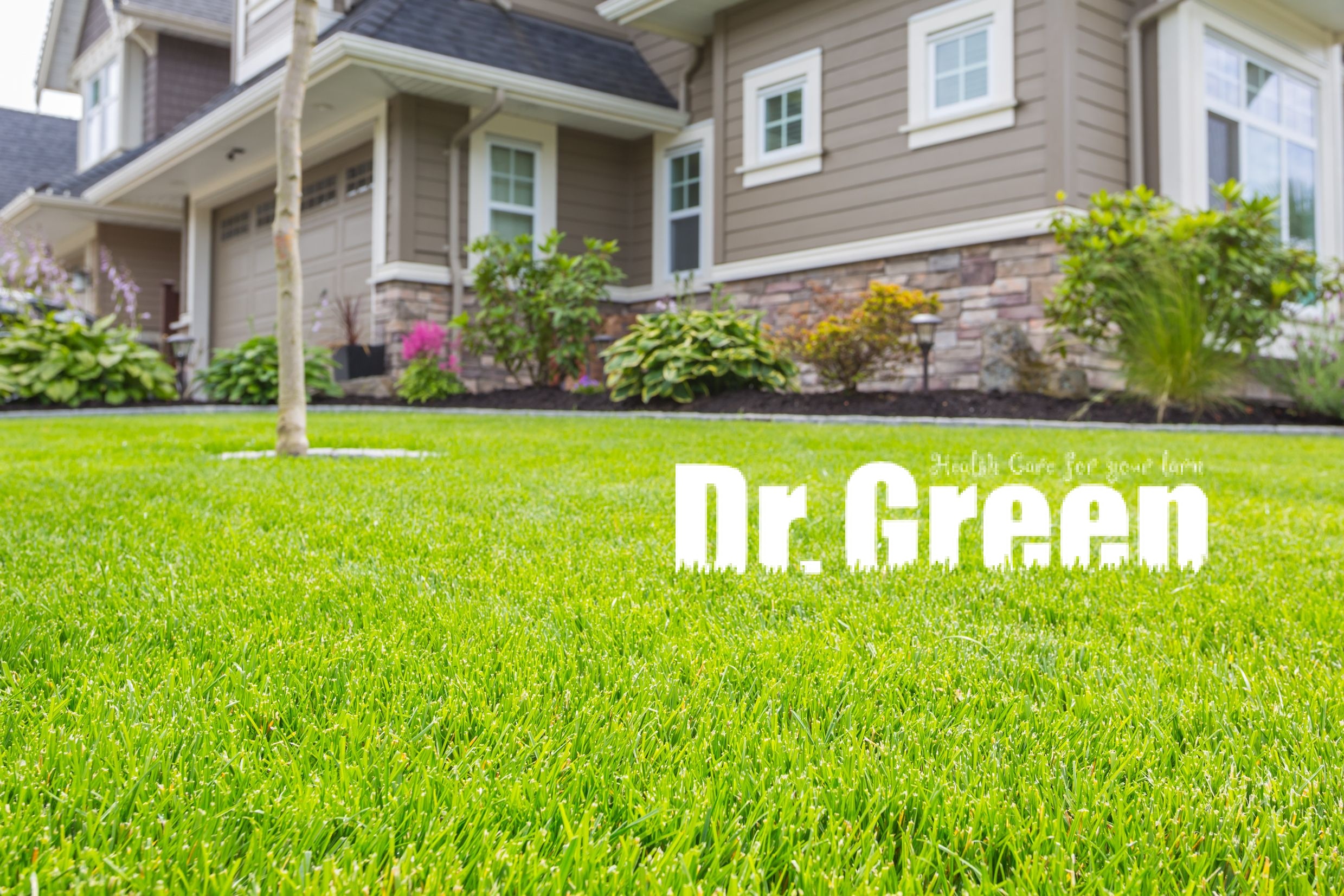 Beautiful family home with a perfectly manicured lawn