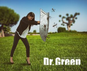 Image of a woman with a shield protecting herself, showcasing the need for effective mosquito control.