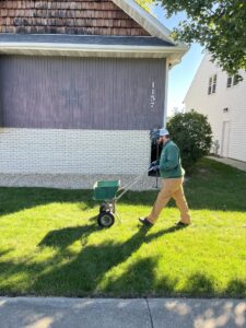 Overseeding and applying slow-release fertilizers to help treat dollar spot fungus on a lawn.