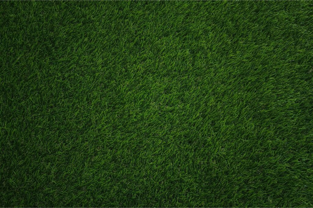 Perfect green grass achieved with Dr. Green Services’ slow-release fertilizer, providing long-lasting lawn care results.