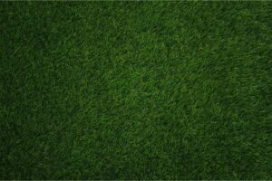 Perfect green grass achieved with Dr. Green Services’ slow-release fertilizer, providing long-lasting lawn care results.