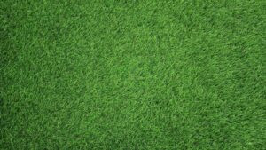 Perfect green grass achieved with Dr. Green Services’ slow-release fertilizer, providing long-lasting lawn care results. 