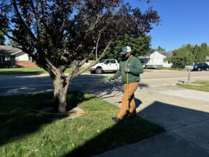 Certified technician from Dr. Green Services treating spotted spurge and other weeds on a lawn.