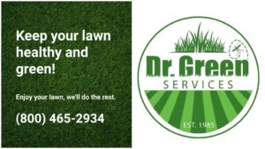 Certified technician applying treatment to maintain a healthy and green lawn.