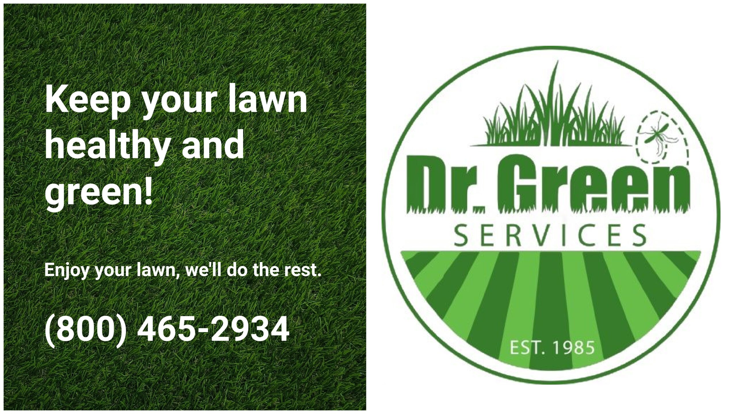 Certified technician applying treatment to maintain a healthy and green lawn.