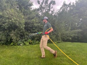 Dr. Green Services technician applying post-emergent herbicide to control thistle and other weeds, ensuring a healthy, weed-free lawn.