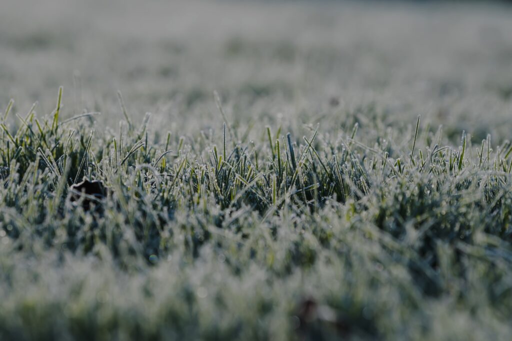 Dr. Green Services provides expert winter lawn care to protect and maintain a healthy lawn during frost and cold weather.

