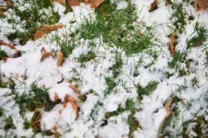 Snow covering a lawn in Chicago, with winter lawn care by Dr. Green Services to ensure a green lawn in spring. 
