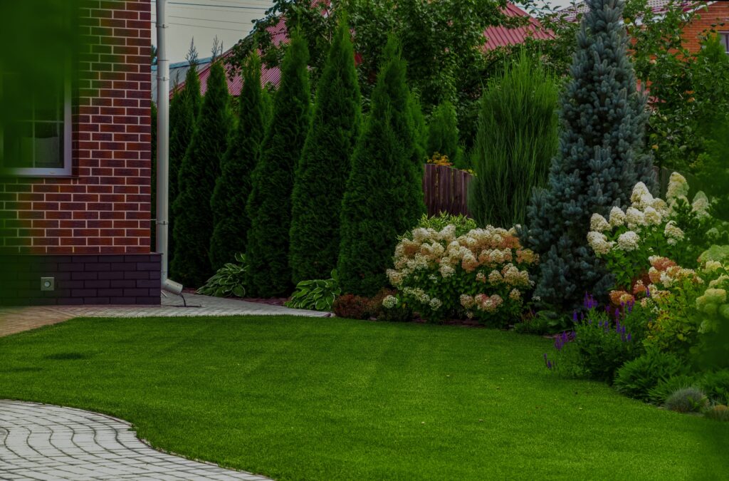 Healthy trees and shrubs nurtured by Dr. Green Services' tree and shrub fertilizer and care.