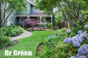 Beautiful landscape with healthy trees and shrubs, thanks to Dr. Green Services tree and shrub care. 