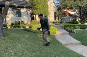 Dr. Green Services technician treating a lawn for armyworms. 