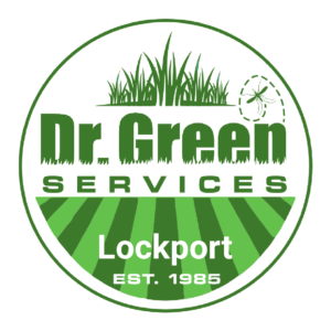 Dr. Green Services Lockport logo, delivering expert lawn service for green and weed-free lawns in Lockport, IL.