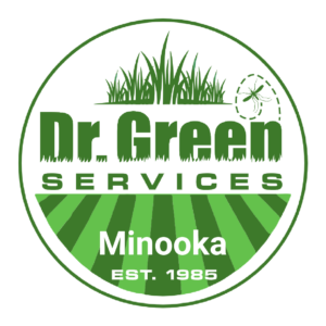Dr. Green Services Minooka logo, delivering expert lawn service for green and weed-free lawns in Minooka, IL.