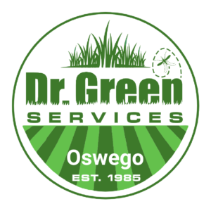 Dr. Green Services Oswego logo, delivering expert lawn service for green and weed-free lawns in Oswego, IL.