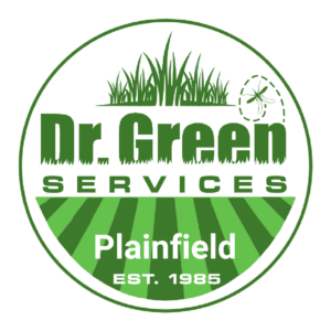 Dr. Green Services Plainfield logo representing professional lawn care and pest control services in Plainfield, IL.