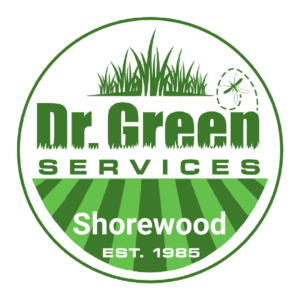 Dr. Green Services Shorewood logo, delivering expert lawn service for green and weed-free lawns in Shorewood, IL.