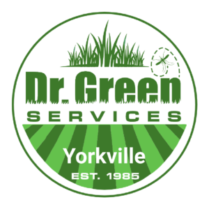 Dr. Green Services Yorkville logo, delivering expert lawn care service for green and weed-free lawns in Yorkville, IL.