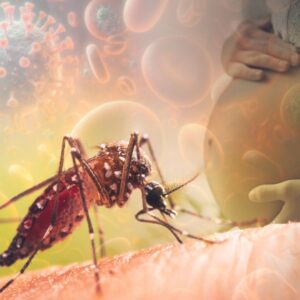 Pregnant Woman Outdoors with Mosquito Risk 