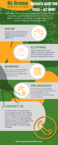 Infographic showing how mosquitoes spread diseases like chikungunya virus, key mosquito species, and prevention tips through mosquito control.