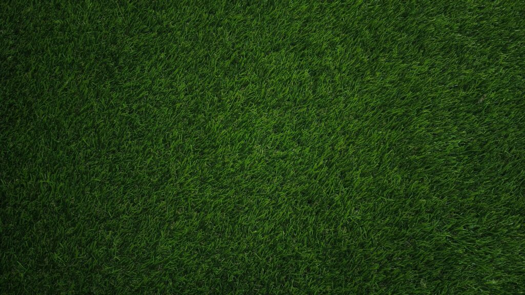A lush, green, weed-free lawn maintained by a professional lawn care company