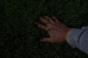 Hand hovering over a thick, green, healthy lawn treated with nitrogen fertilizer.