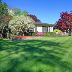Beautiful home with a perfect, green lawn maintained with nitrogen fertilizer.