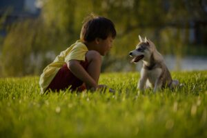 Healthy green lawn after fall lawn care