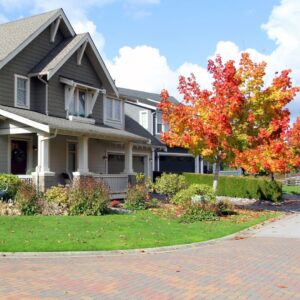 Dr. Green Services technician applying potassium fertilizer treatment to a residential lawn