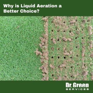 Messy soil plugs left on a lawn after core aeration damage