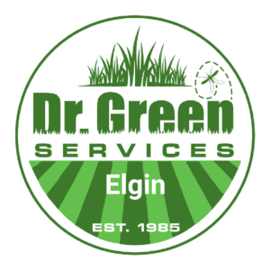 Dr. Green Services logo – Lawn Care in Elgin.