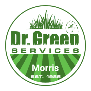 Dr. Green Services logo for Lawn Care Morris, established in 1985