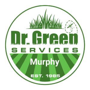 Dr. Green Services logo for lawn care in Murphy TX