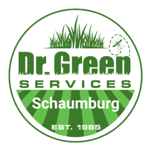 Dr. Green Services logo – Lawn Care in Schaumburg.