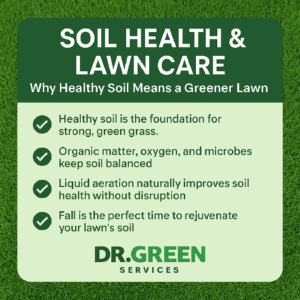 Soil health lawn care infographic by Dr. Green Services showing how healthy soil supports greener, stronger lawns.