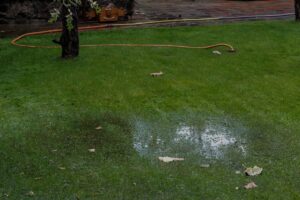 Standing water on grass showing lawn drainage problems after rain.
