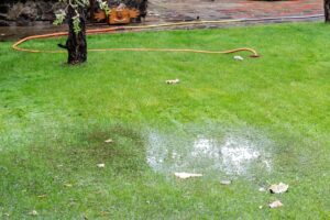Standing water on grass showing lawn drainage problems after rain.