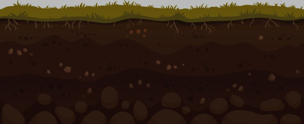 Soil layers illustration showing healthy roots and structure for soil health lawn care.