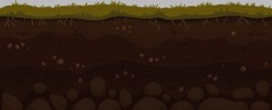 Soil layers illustration showing healthy roots and structure for soil health lawn care.