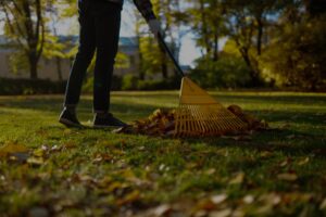 Homeowner raking leaves during winter lawn preparation